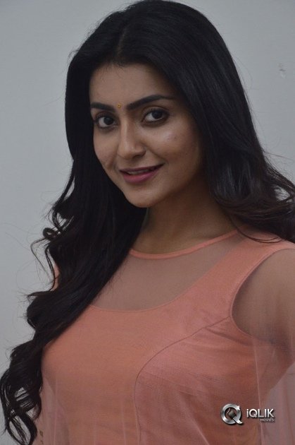 Avantika-Mishra-At-Vaishakham-Movie-Success-meet